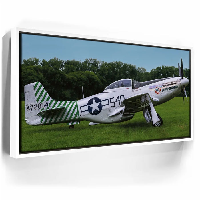 Featured image 6 for P51D Mustang