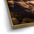 Thumbnail image 12 for Pacifica Flow