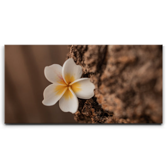 Painted Plumeria, Maui Posters, Prints, & Visual Artwork TheGoatWallArt LANDSCAPE - WIDE 30x15 0.75" STANDARD