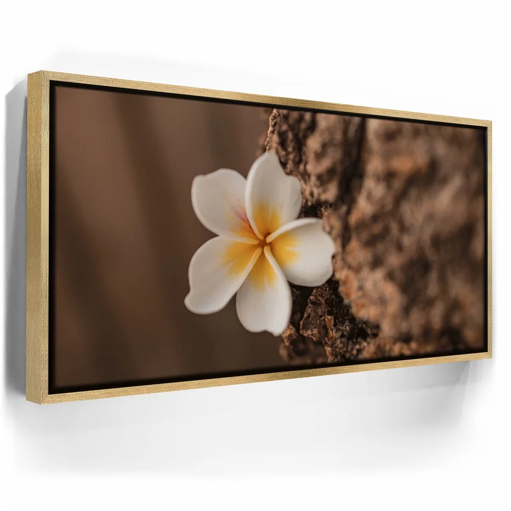 Featured image 7 for Painted Plumeria, Maui