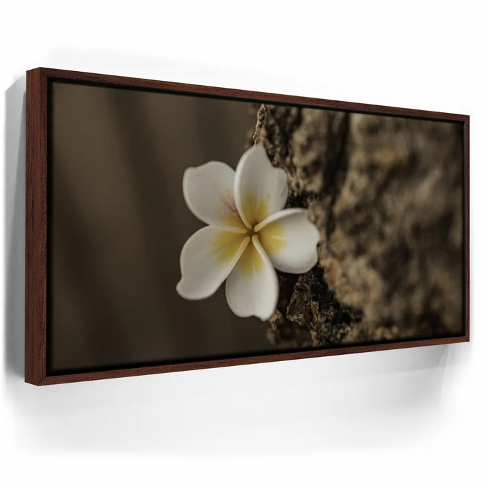 Featured image 10 for Painted Plumeria, Maui