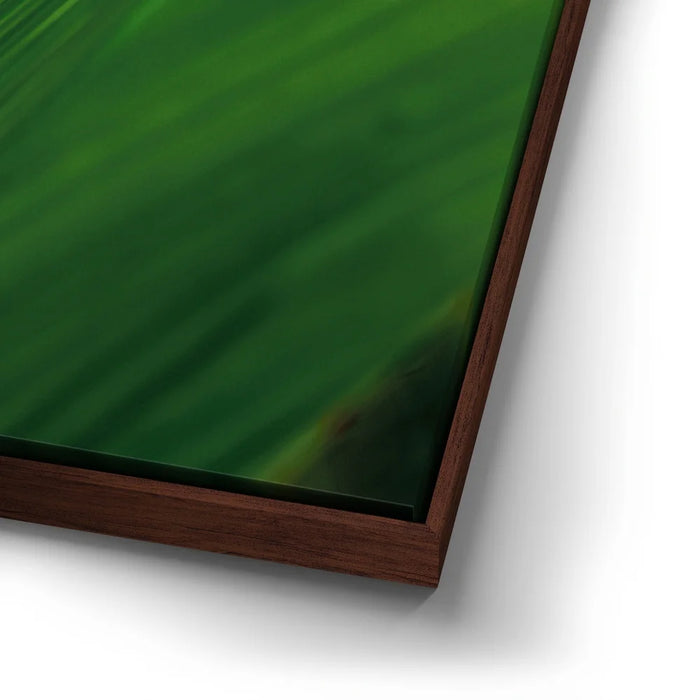 Featured image 14 for Palm Serenity