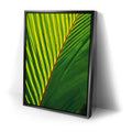 Thumbnail image 2 for Palm Serenity