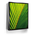 Featured image 5 for Palm Serenity