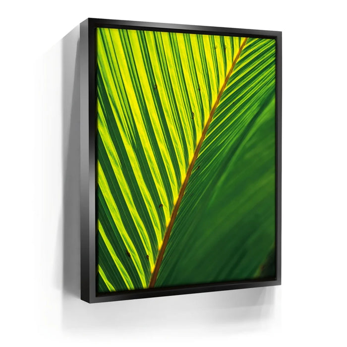 Featured image 5 for Palm Serenity