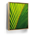 Featured image 7 for Palm Serenity