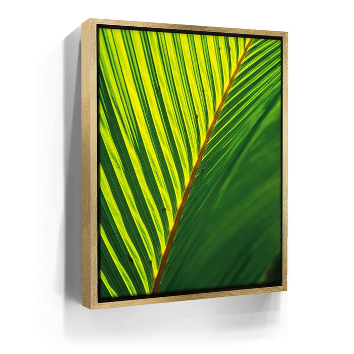 Featured image 7 for Palm Serenity