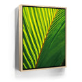 Featured image 9 for Palm Serenity