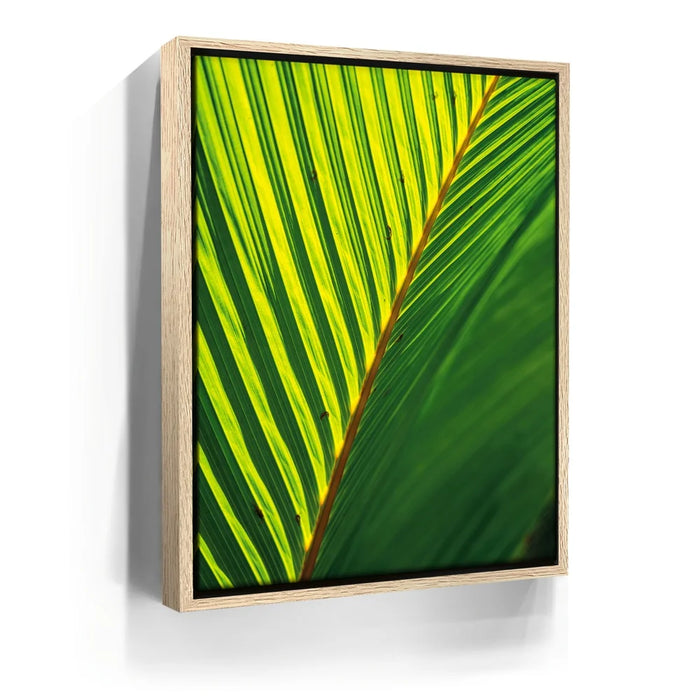 Featured image 9 for Palm Serenity