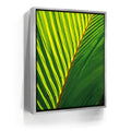 Featured image 8 for Palm Serenity