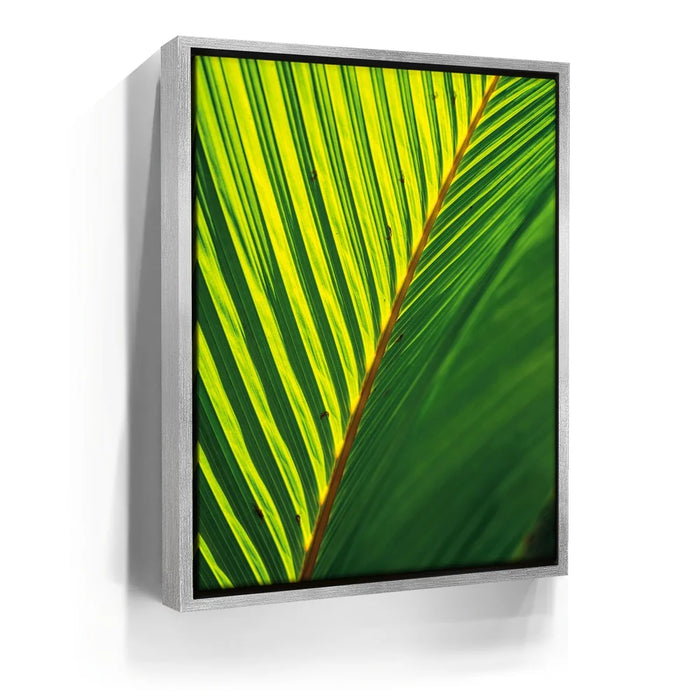 Featured image 8 for Palm Serenity