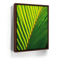 Featured image 10 for Palm Serenity