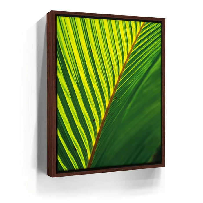 Featured image 10 for Palm Serenity