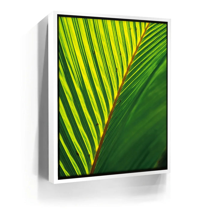 Featured image 6 for Palm Serenity