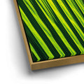 Thumbnail image 12 for Palm Serenity II