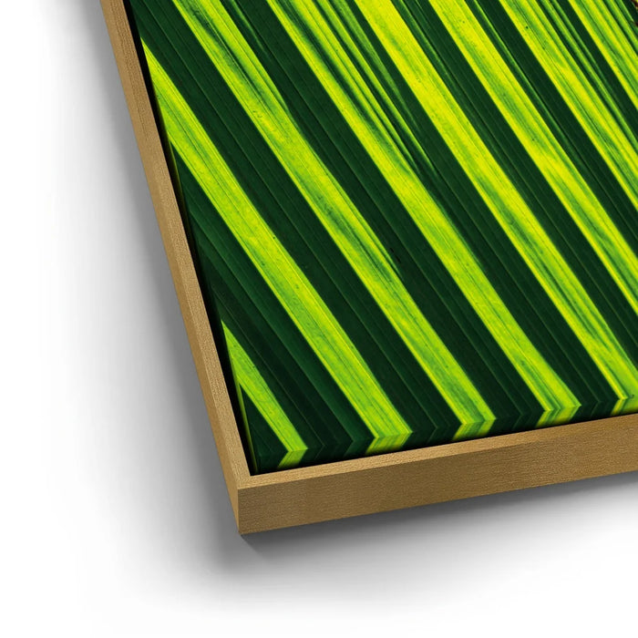 Featured image 12 for Palm Serenity II