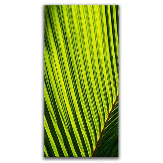 Palm Serenity II