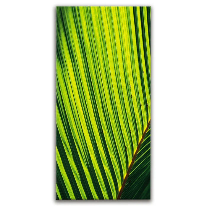 Featured image 1 for Palm Serenity II