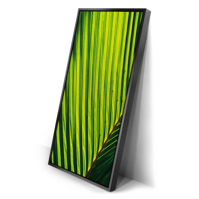 Featured image 2 for Palm Serenity II