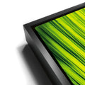 Thumbnail image 11 for Palm Serenity II