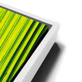 Thumbnail image 13 for Palm Serenity II