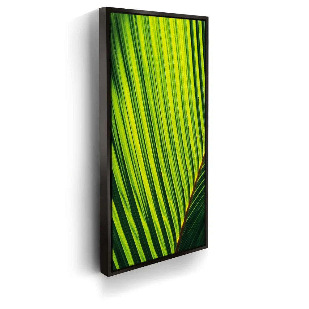 Featured image 5 for Palm Serenity II