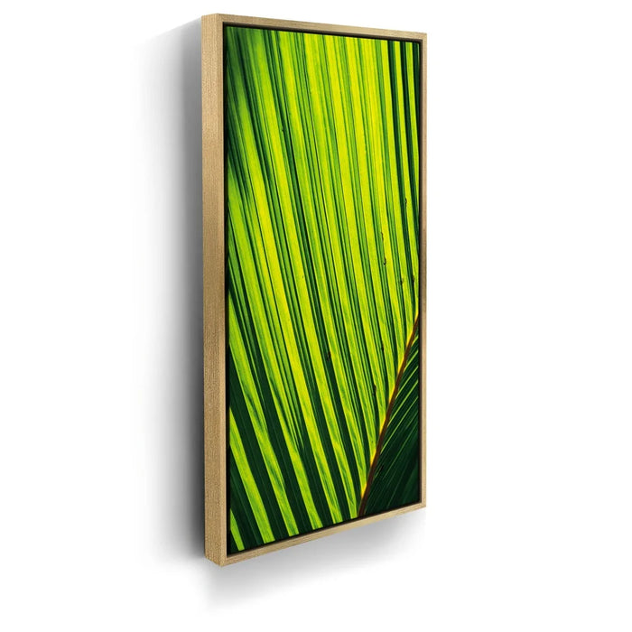 Featured image 7 for Palm Serenity II