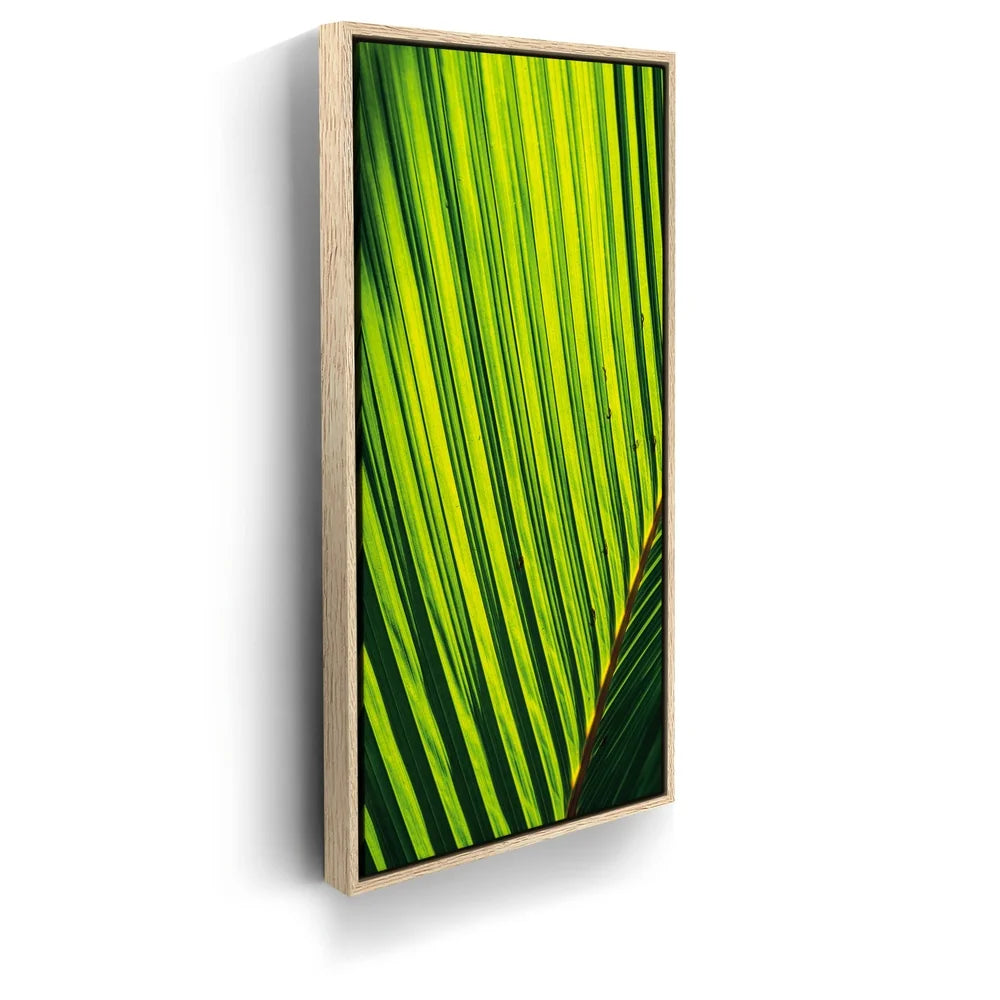 Featured image 9 for Palm Serenity II