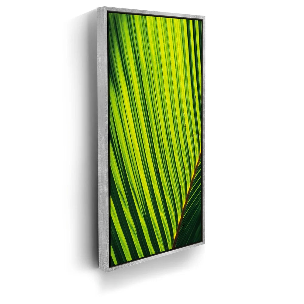 Featured image 8 for Palm Serenity II