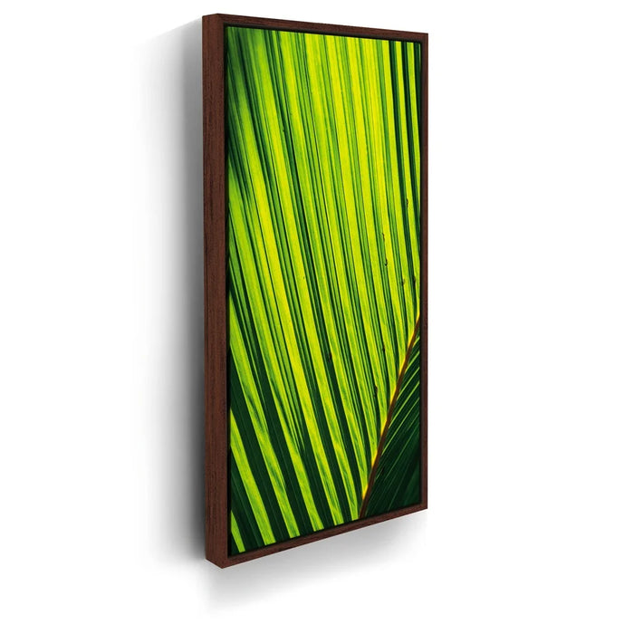 Featured image 10 for Palm Serenity II