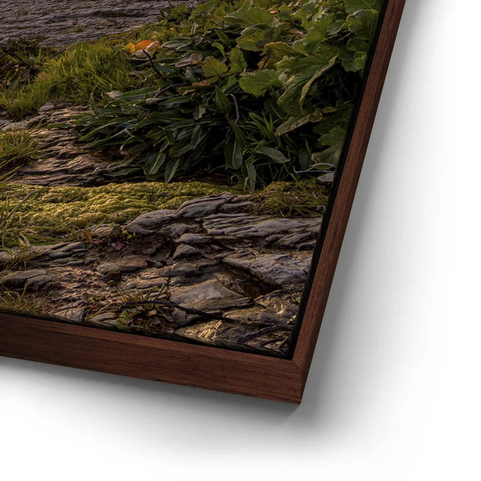 Featured image 14 for Panther Beach