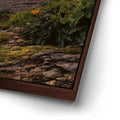 Thumbnail image 14 for Panther Beach