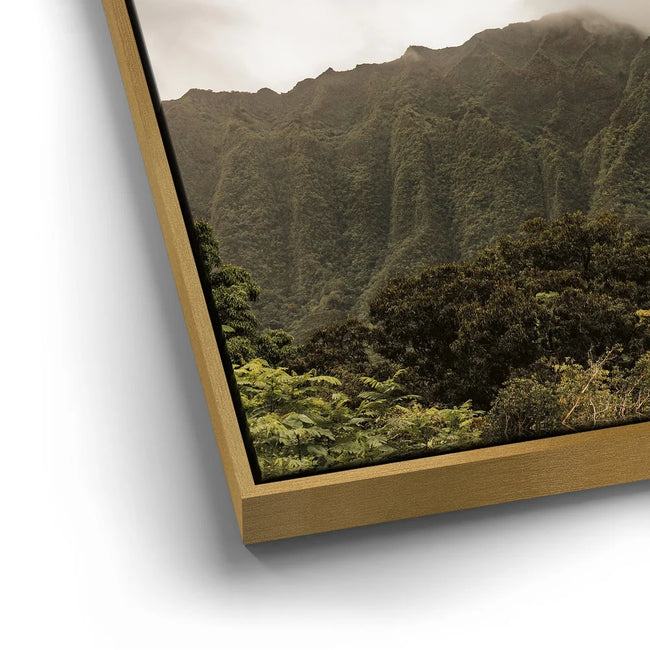 Featured image 12 for Paradise Mountains All Around Me - Oahu, HI