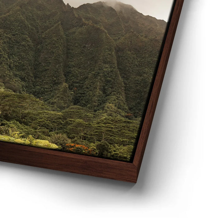 Featured image 14 for Paradise Mountains All Around Me - Oahu, HI