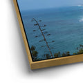 Thumbnail image 13 for Paragliders at Torrey Pines