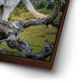 Thumbnail image 15 for Patagonian Freedom