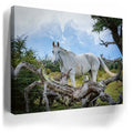 Thumbnail image 3 for Patagonian Freedom