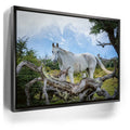 Featured image 6 for Patagonian Freedom
