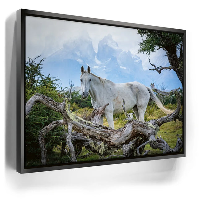 Featured image 6 for Patagonian Freedom