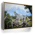 Featured image 10 for Patagonian Freedom
