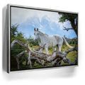 Featured image 9 for Patagonian Freedom