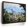 Featured image 11 for Patagonian Freedom