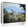 Featured image 7 for Patagonian Freedom