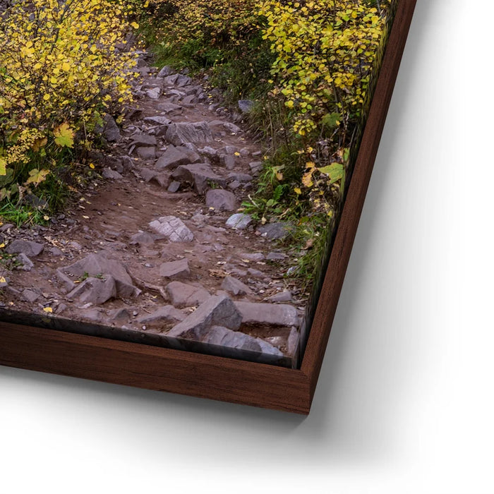 Featured image 14 for Path of the Aspens