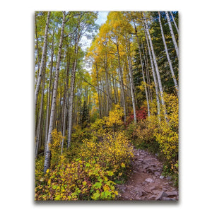 Path of the Aspens