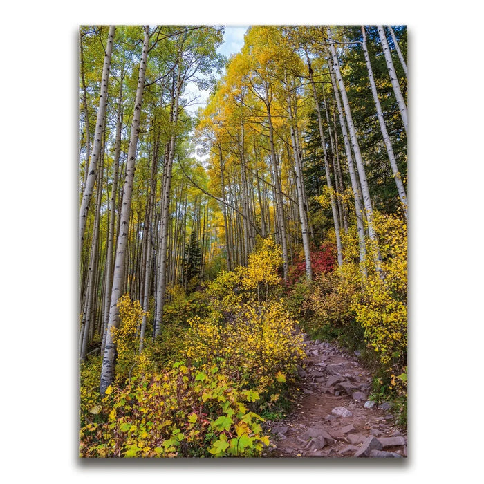 Featured image 1 for Path of the Aspens