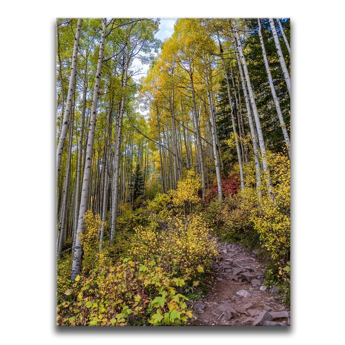 Featured image 1 for Path of the Aspens