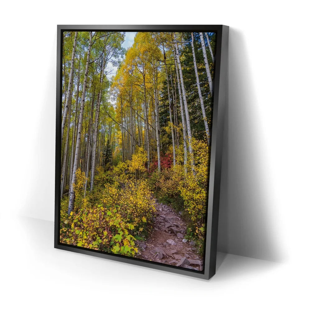 Featured image 2 for Path of the Aspens