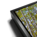 Thumbnail image 11 for Path of the Aspens