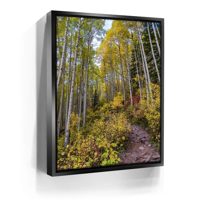 Featured image 5 for Path of the Aspens